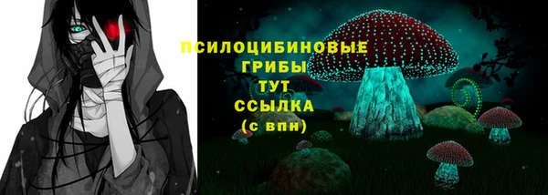 а пвп мука Новозыбков