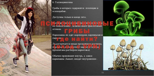 2c-b Новодвинск