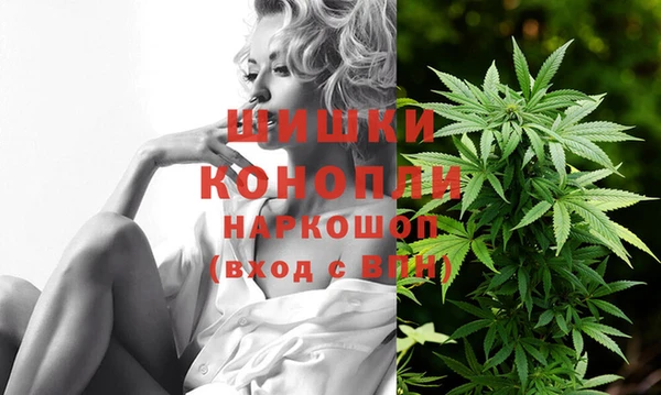 МДПВ Новокубанск