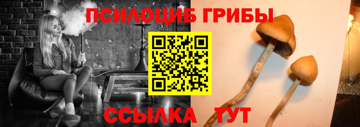 Галлюциногенные грибы Magic Shrooms  Псилоцибиновые грибы прущие грибы  Уфа  купить закладку  Вход с VPN 